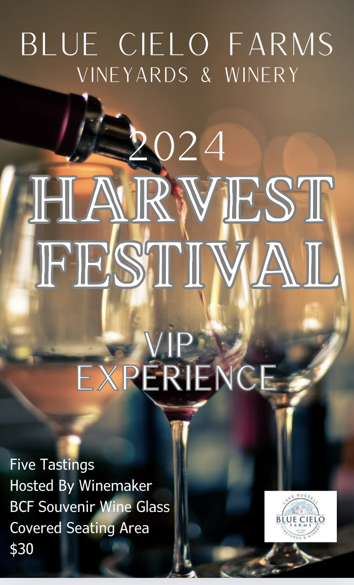 harvest festival vip wine tasting experience